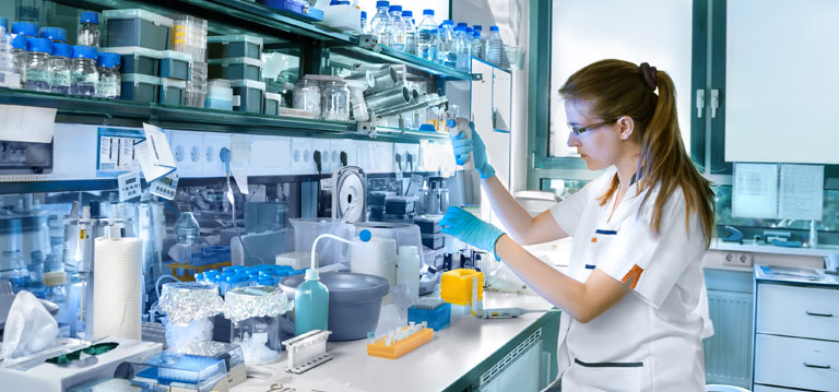 In the laboratory, chemists execute the planned synthetic