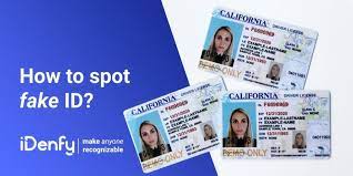 Counterfeit ID Pandemic: How to Recognize a Fake ID Card
